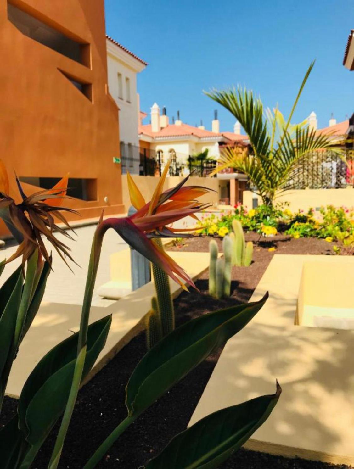 Apartamento Selena Luxury Monte Carrera La Playa de Arguineguín Exterior foto